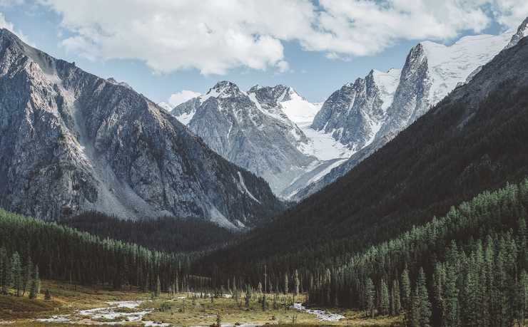 GA黄金甲-2026世界杯门票：通往未来的入场券